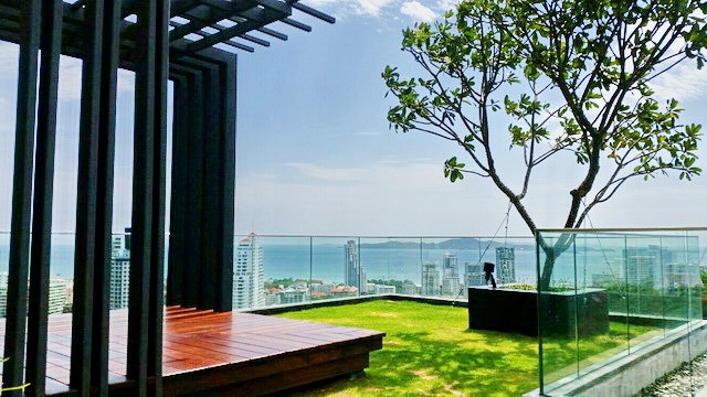 Condominium for rent UNIXX South Pattaya showing the roof top garden Condominium for rent UNIXX South Pattaya showing the roof top garden