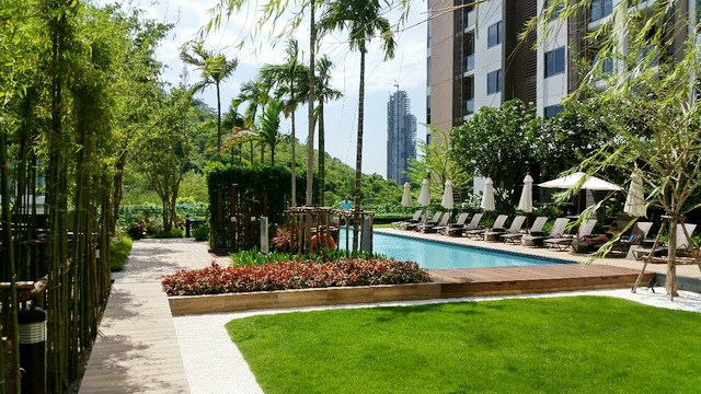 Condominium for rent UNIXX South Pattaya showing the communal swimming pool and building Condominium for rent UNIXX South Pattaya showing the communal swimming pool and building